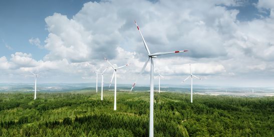 Panoramic image of a large forest landscape featuring multiple modern wind turbines rising above the treetops. The scene represents sustainable energy production, environmental responsibility, and the use of precise automation and control technology to harness renewable energy efficiently.