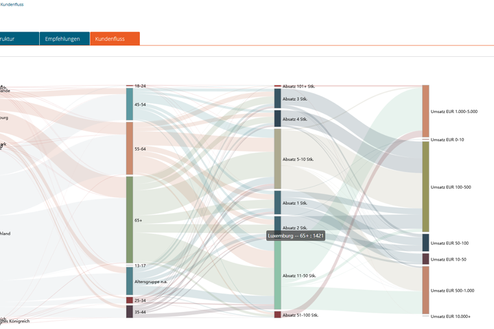 Sankey-Diagramm des Kundenflusses: Verbindungen zwischen Herkunftsländern, Altersgruppen, Absatzmengen und Umsatzklassen zur Analyse von Kaufverhalten und Segmentierung.