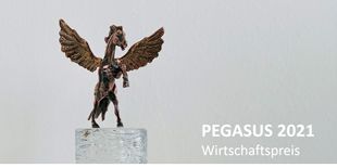 Wirtschaftspreis Pegasus in Bronze