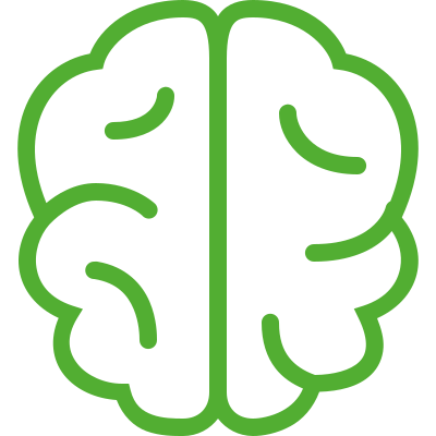 Icon of a brain