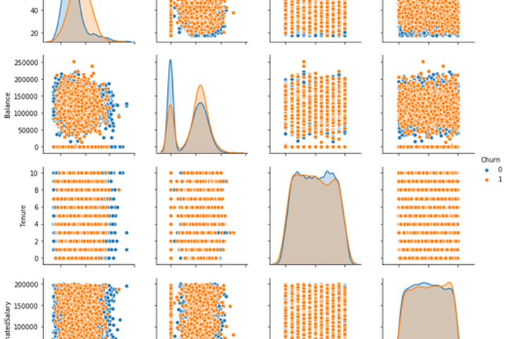 Scatterplots und Pairplots zur Risikoerkennung