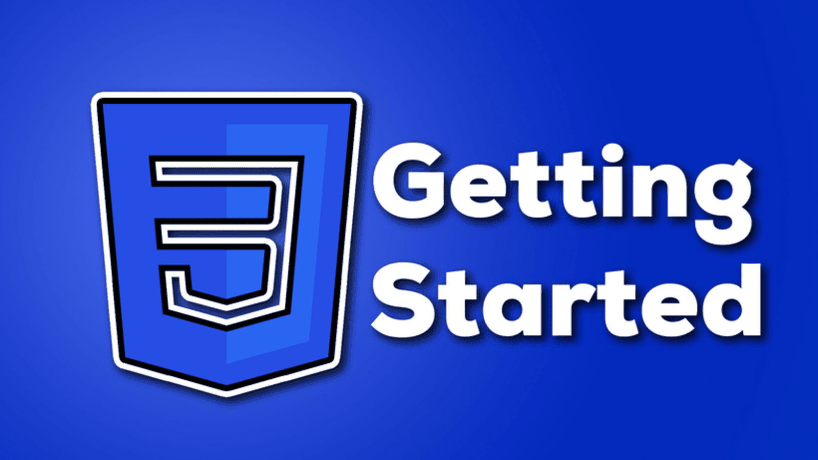 Beginner's Guide