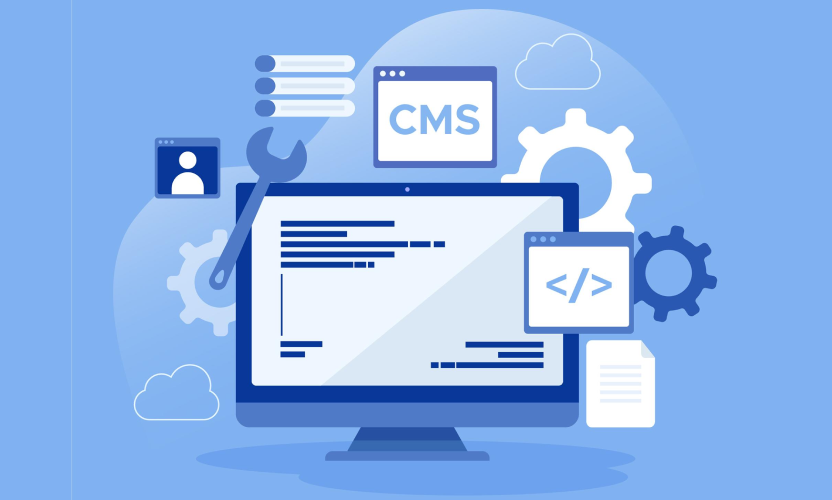 CMSs_ industry state and how to localize them best