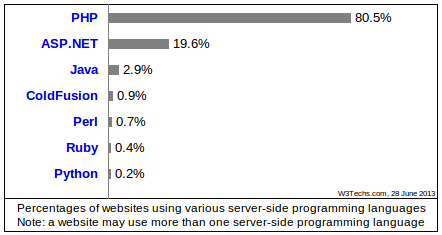 use of server-side programming languages for websites