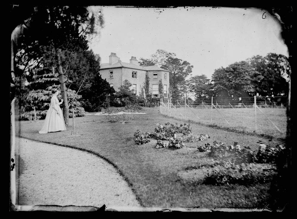 Catherine's Dublin Mercy World