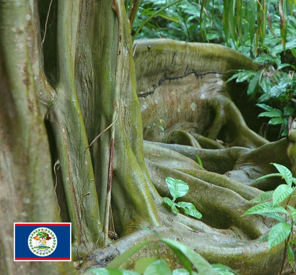Belize | Mercy World