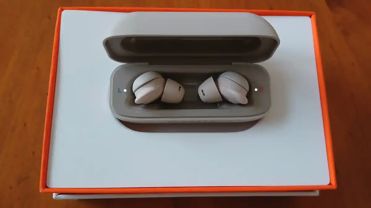 Delight earbuds upon unboxing. Photo: David Cochran.
