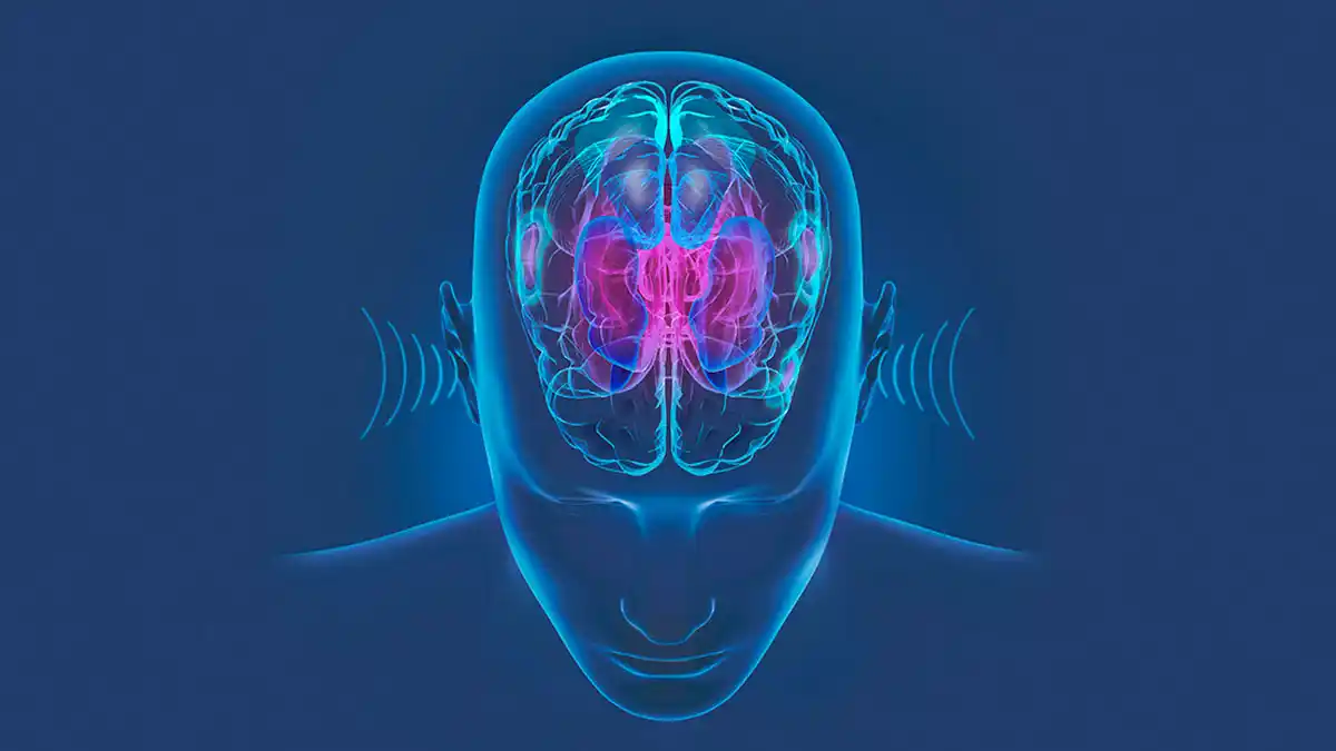 Oticon's BrainHearing processing supports the way the brain makes sense of sound so you can listen with less effort. The technology is designed to give access to the details in sound for a more natural communication experience, helping people understand more of what is said rather than just hear more sounds.