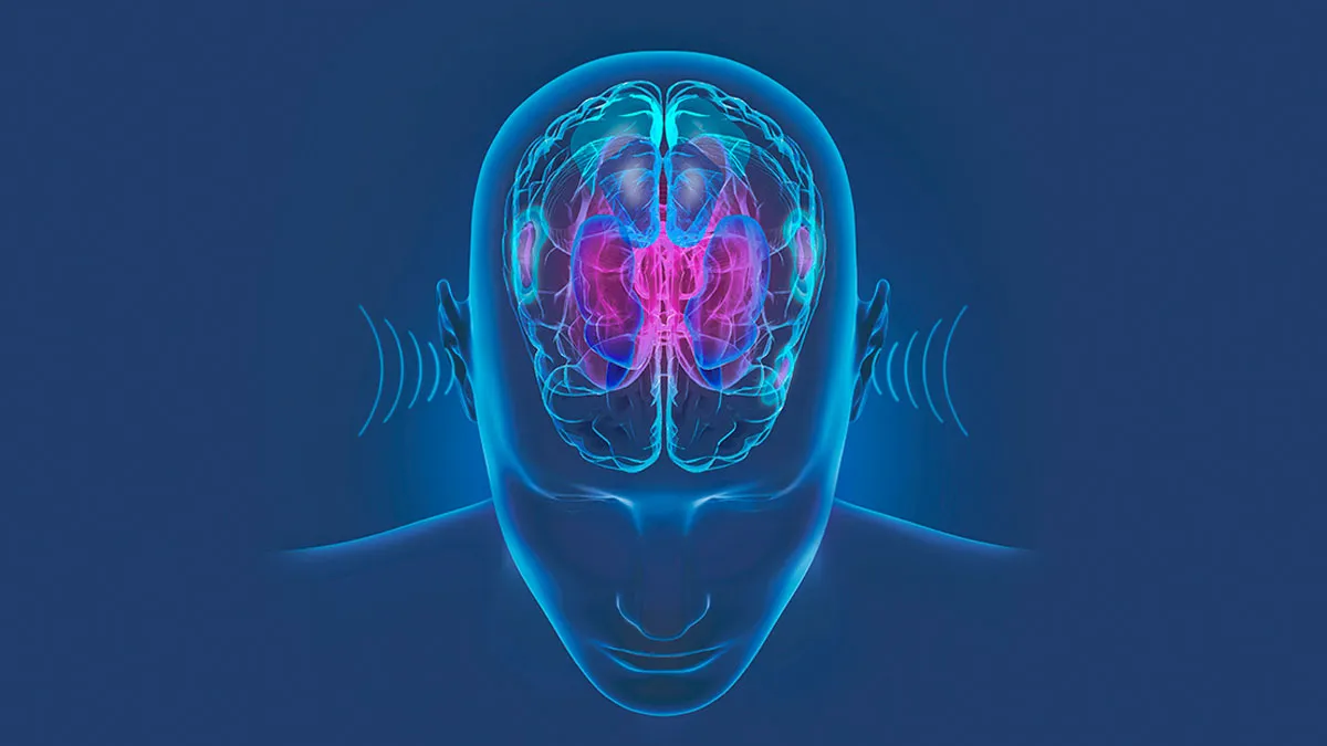 Deep Neural Network (DNN) technology in hearing aids is designed to emulate the brain by using layers of vast amounts of data—over 12 million real-world sound samples in the case of Oticon's onboard DNN BrainHearing system—to do things like filter out noise and select the best acoustic parameters for listening in specific environments.