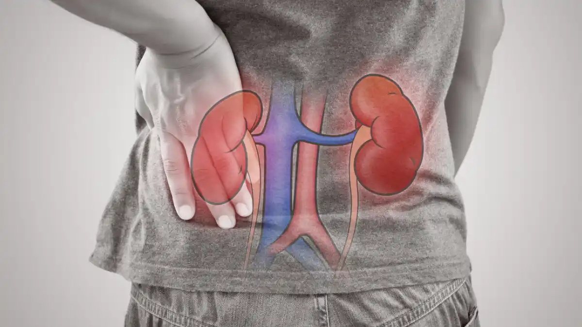 Kidney pain is often mistaken for back pain. Chronic kidney disease symptoms are often nonspecific, but can include nausea, loss of appetite, fatigue/weakness, muscle cramps, and swelling of the feet and ankles.