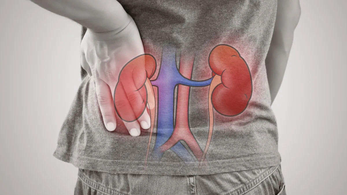 Kidney pain is often mistaken for back pain. Chronic kidney disease symptoms are often nonspecific, but can include nausea, loss of appetite, fatigue/weakness, muscle cramps, and swelling of the feet and ankles.