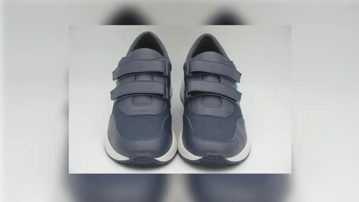 Magnes NUSHU for vestibular-related tracking.