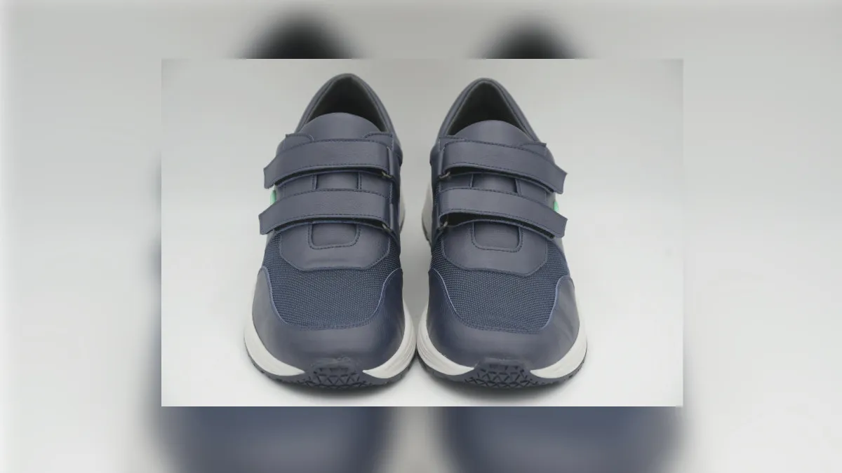 Magnes NUSHU for vestibular-related tracking.