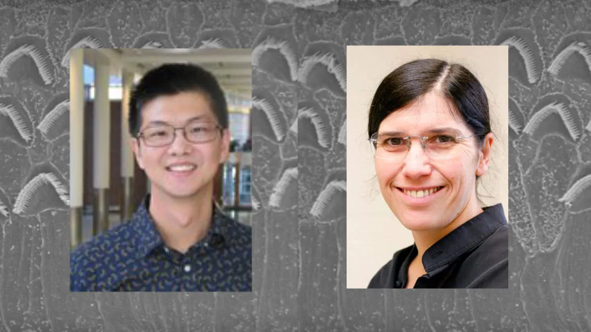 Daxiang Na and Patricia White, PhD, of the White Lab at the University of Rochester.