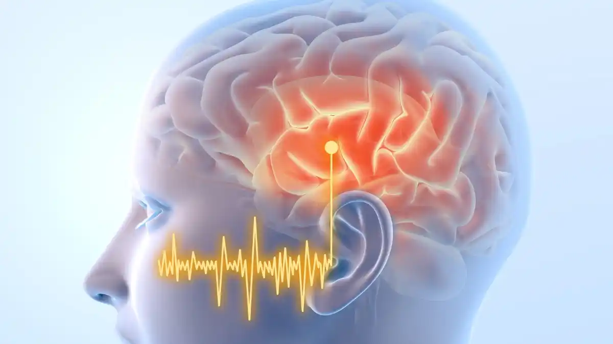 Neue Erkenntnisse aus der Framingham Heart Study stärken die Verbindung zwischen Hörverlust, Gehirngesundheit und Demenz – und deuten darauf hin, dass die frühzeitige Nutzung von Hörhilfen einen Unterschied machen könnte.