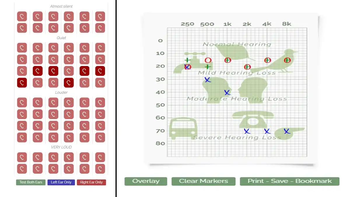 On left: The test grid for assembling your audiogram for each ear (or both). On right: the "overlay" on the audiogram to see which sounds correspond to different volumes and frequencies/pitches.