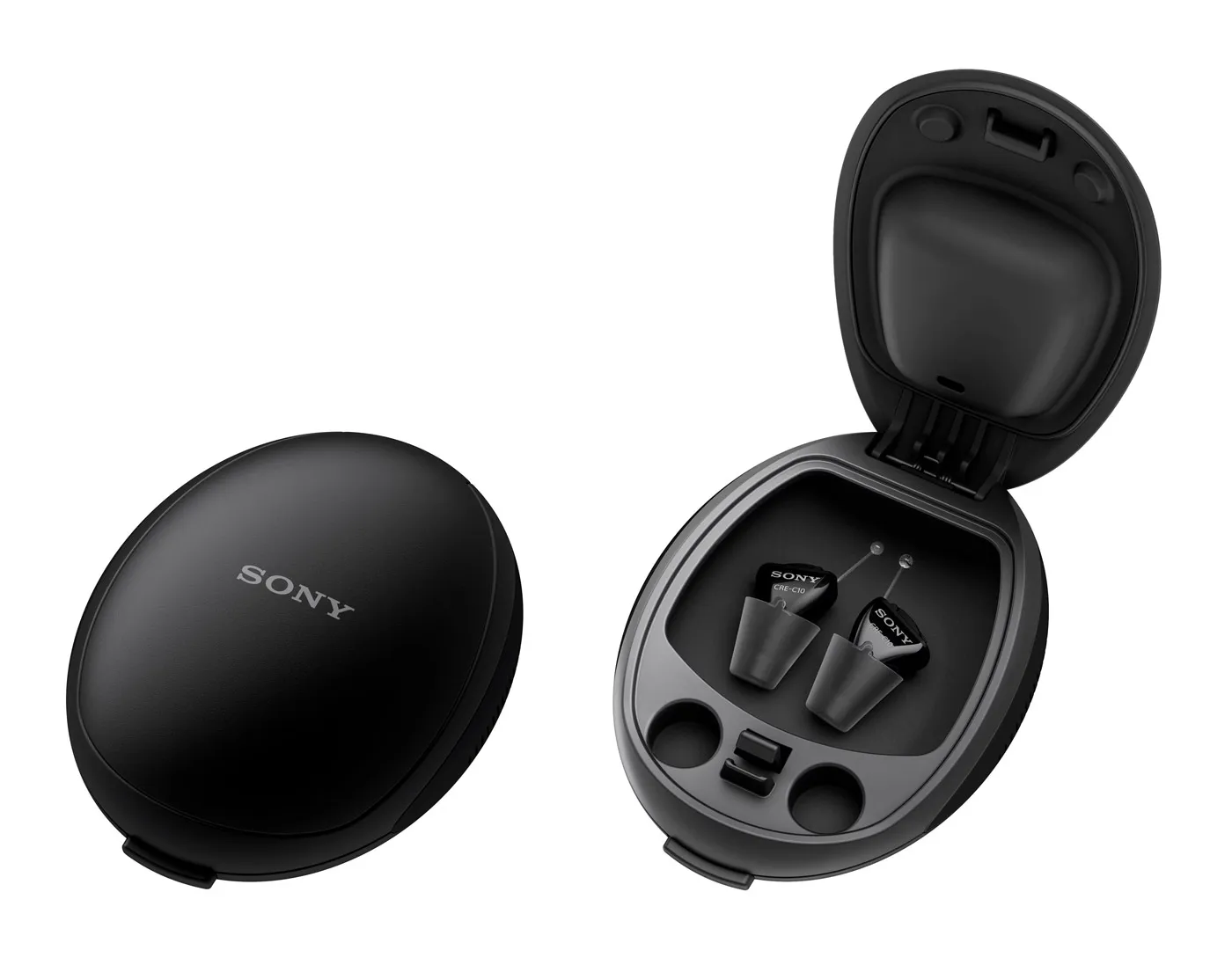 Sony CRE-C10 recharging and carrying case.
