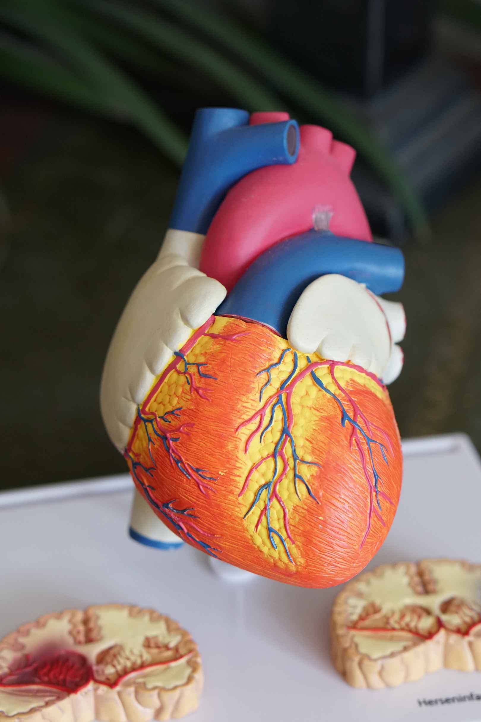 heart disease and hearing loss