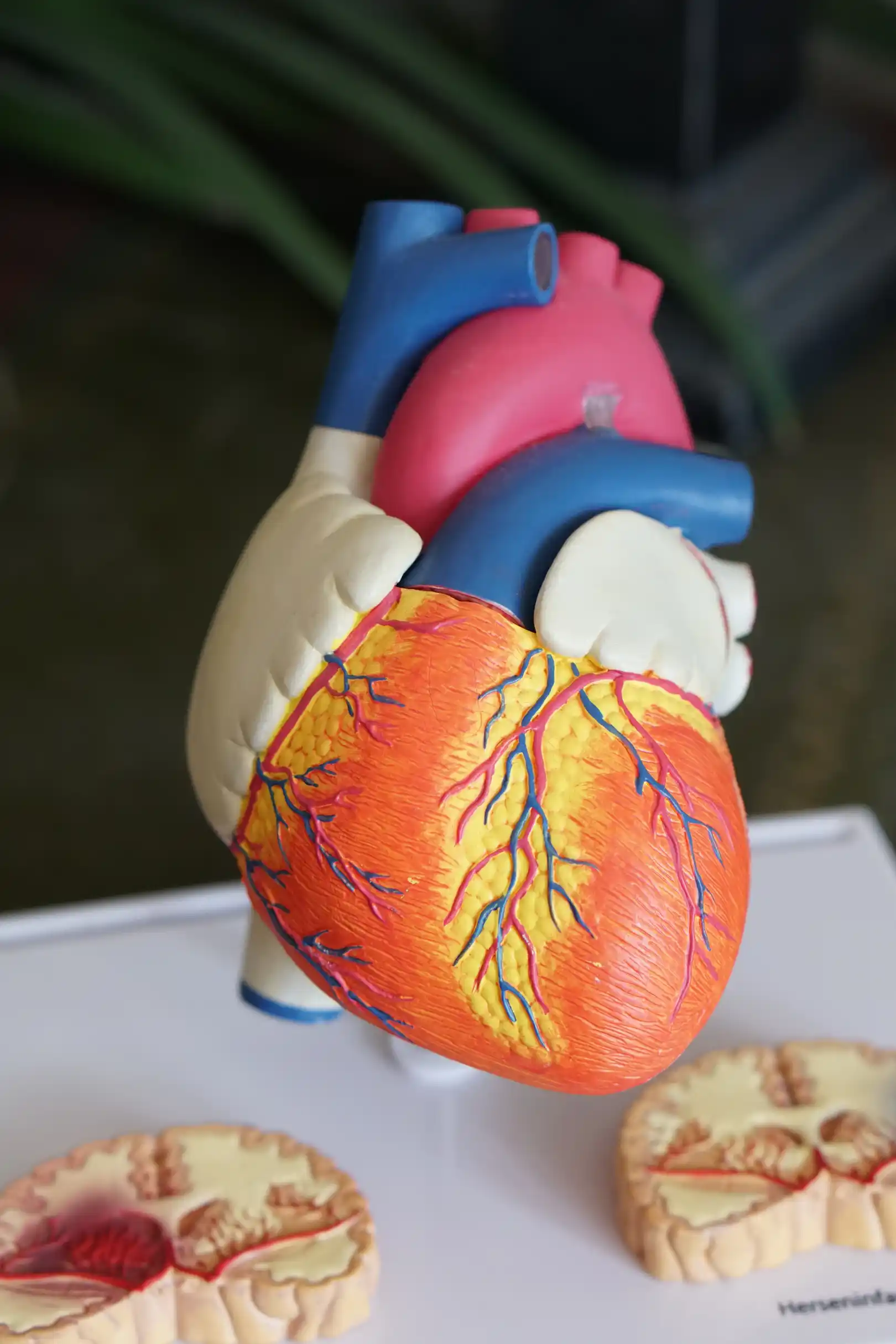 heart disease and hearing loss