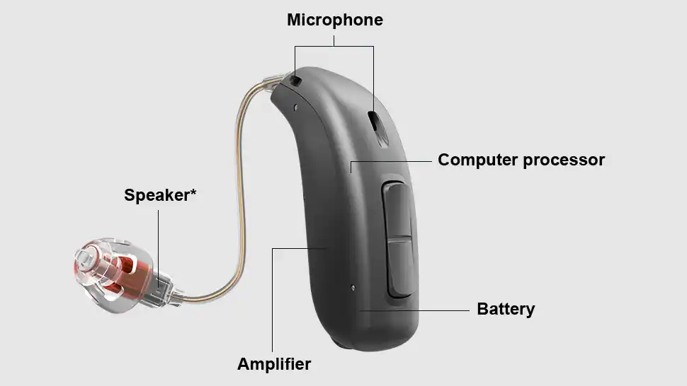 A receiver in canal (RIC) hearing aid with annotations pointing out the microphone, computer processor, battery compartment, amplifier, and speaker.