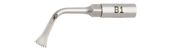 B1