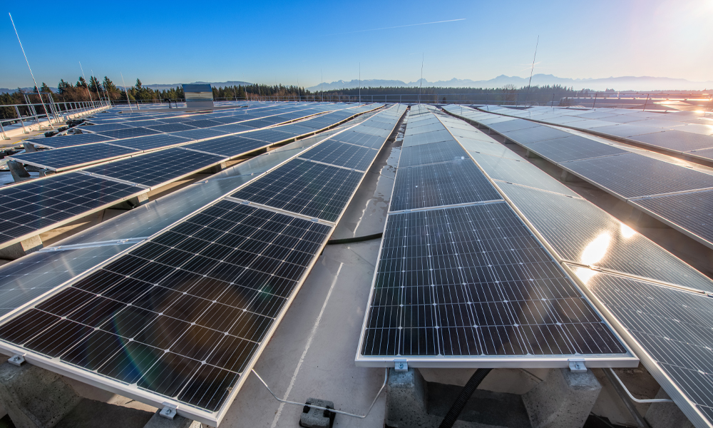 PV-Module auf den Dächern von W&H, Werk 2 in Zehmemoos.