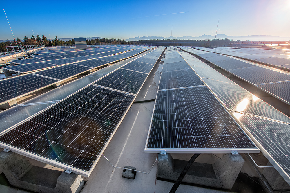 Plus de 1 800 modules photovoltaïques produisent de l'électricité neutre sur le plan climatique pour W&H. Plus de 1 800 modules photovoltaïques produisent de l'électricité neutre sur le plan climatique pour W&H.