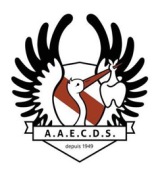 Logo AAECDS