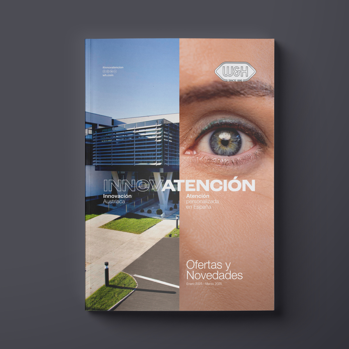 Ofertas y Novedades