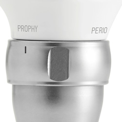 Prophy Modus