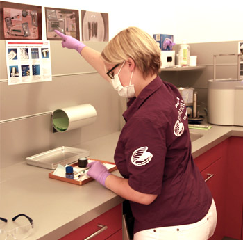 Vorbereitung eines Endo-Trays