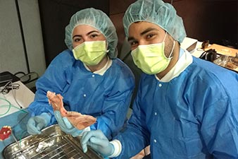 The participants obviously enjoyed the clinical workshop sessions.