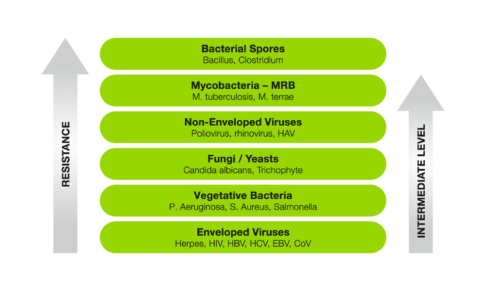 Ilustración del amplio espectro.