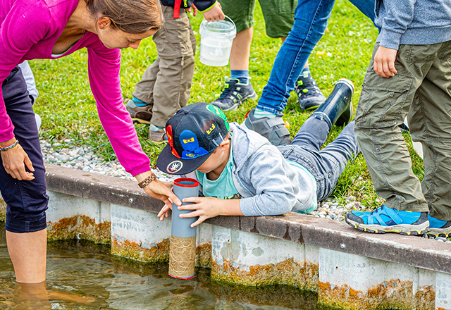 Lebensraum Bürmooser See