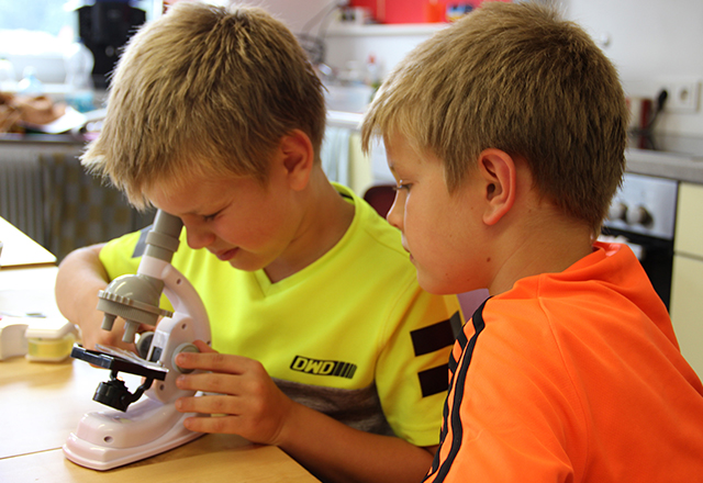 Die kleine Welt ganz groß