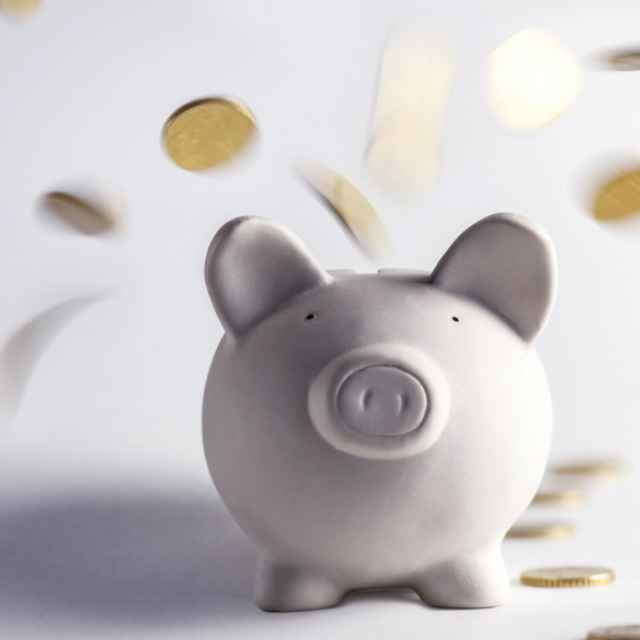 Servicio Técnico W&H