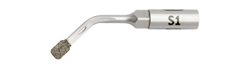 S1