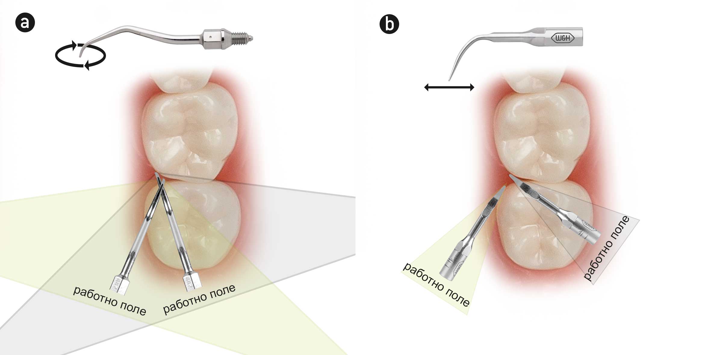 работно поле