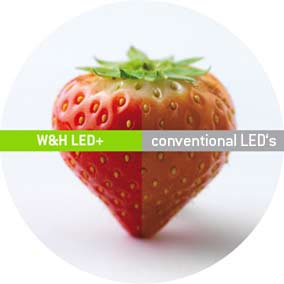 W&H LED+