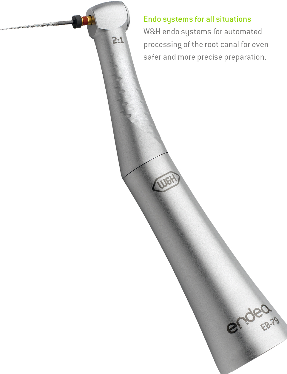 Root canal treatment <br>Finishing