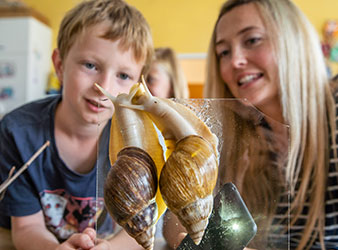 Paul und die Achatschnecken