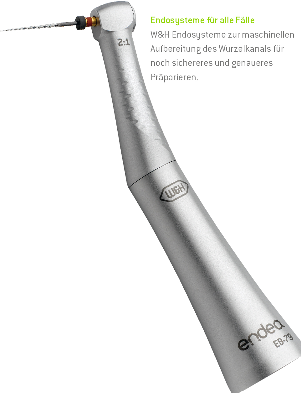 Wurzelkanalaufbereitung <br>Finieren
