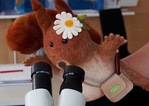 La mascota “Elli”, la ardilla investigadora