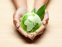 Gestión medioambiental