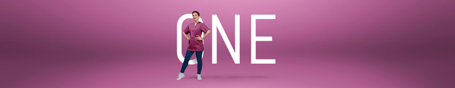 Assistina One with Quick Connect by W&H