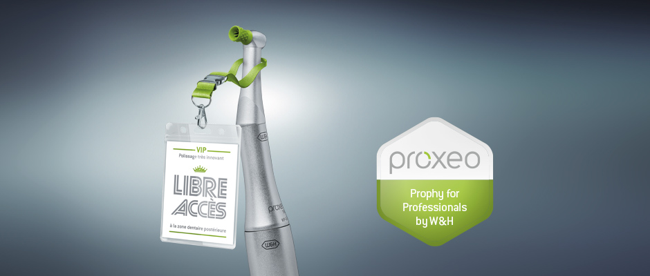 Gobelets De Polissage Prophylaxie Dentaire - Neuf - Pour Fraise Dentiste