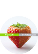 2010 :  Innovation LED+