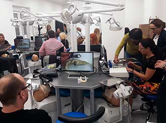 Universidad de Odontología de Zagreb