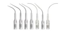 Prophylaxis & Periodontology | W&H