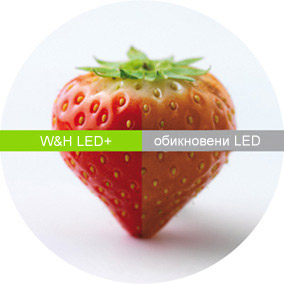 W&H LED+